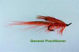 General Practitioner